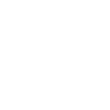 Logotype of Spirit Academy